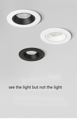 DALI Dimmable LED Wall Washer Spotlight 30W 24deg Lighting Angle Ra90